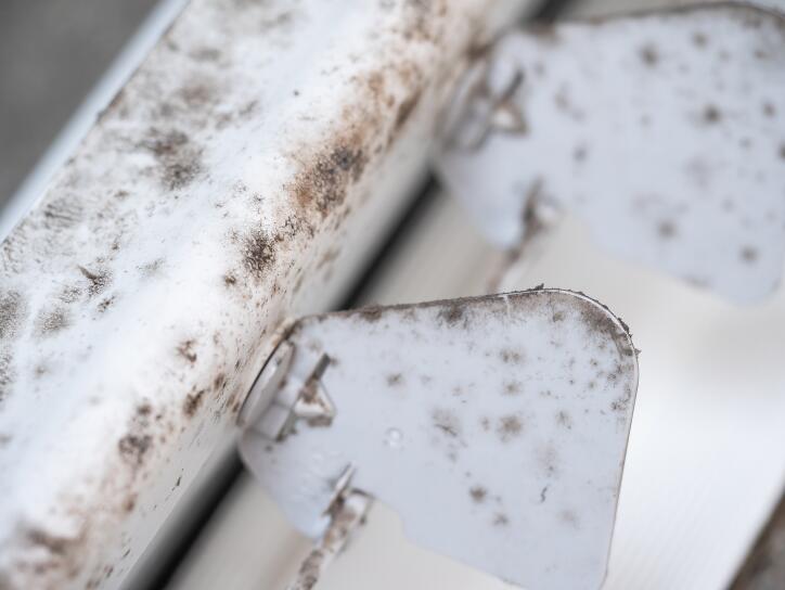 Mold in Air Ducts: Causes, Risks, and Solutions Mold in Air Ducts: Causes, Risks, and Solutions