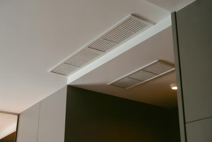 What’s Inside Your Air Ducts? A Look at Common Contaminants What’s Inside Your Air Ducts? A Look at Common Contaminants
